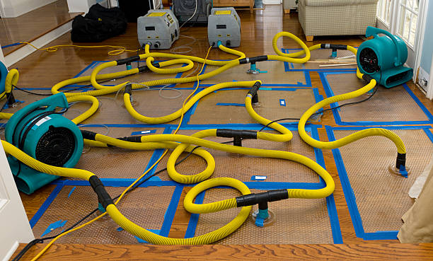 Professional Sewage Cleanup technician working in Guysville, OH